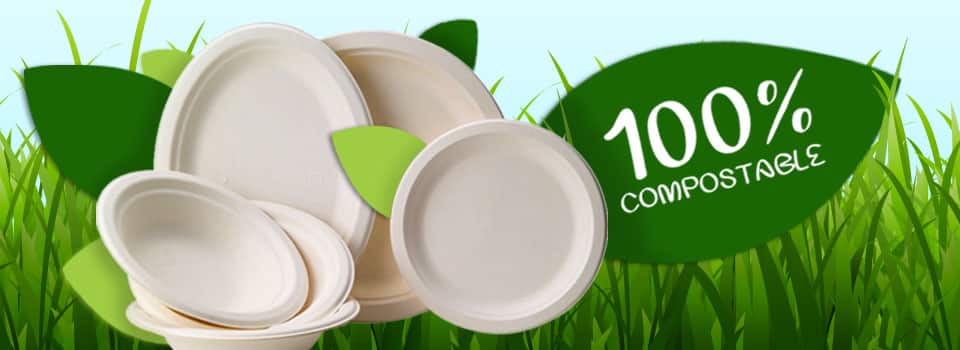 Vaisselle biodégradable, compostable